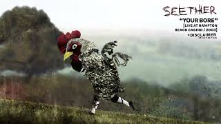 Seether - &quot;Your Bore (Live 2003)&quot; (Disclaimer Deluxe Edition/Official Visualizer)