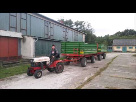 Seregélyes Szalagavató  11/A