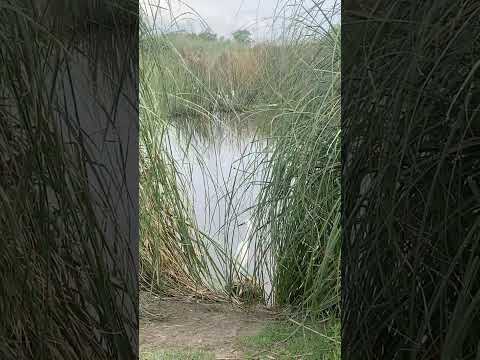 La Belleza de la Laguna de Monte