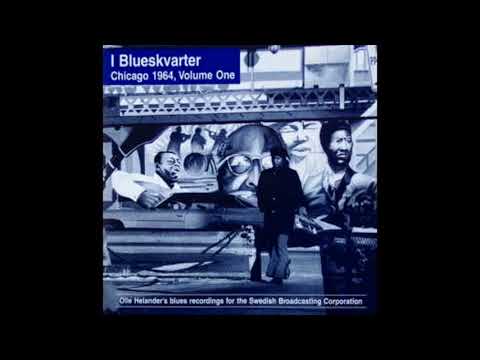 I'm In The Mood - Walter Horton (w/Robert Nighthawk)