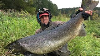 Рыбалка в карелии на лосося
