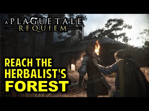 Reach the Herbalist's Forest | Chapter 3 A BURDEN OF BLOOD Walkthrough | A Plague Tale Requiem