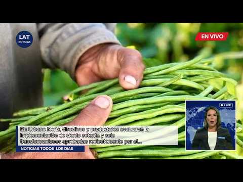 Transformaciones Agrícolas en Holguín: Retos y Soluciones en Urbano Noris