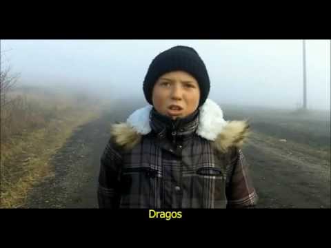 The School Bus that transformed the children's life in Rebricea (Vaslui)