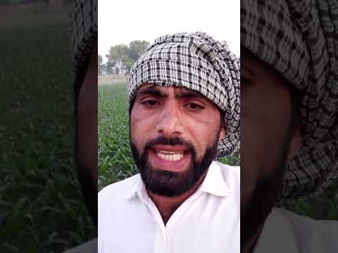 Din hasher dy ya mola gunawan utay paen parday [ali raza faridi]