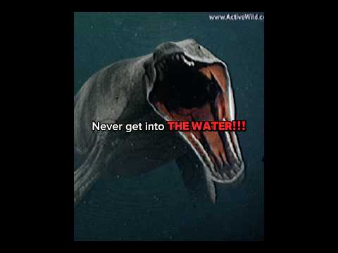 DONT GO INTO THE PREHISTORIC WATERS! #prehistoric #ocean #megalodon