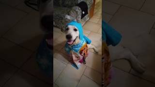 Julie - Io c&#39;ho il poncho di Frozen! - 18 giugno 2016