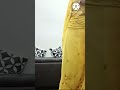 Shortvedio Fish Cut Saree Mermaid Style Saree Saree Lovers