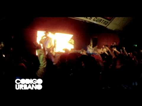 DAVE BEE EN CHILE // CODIGO URBANO RESUMEN