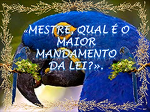 Liturgia de 26.10.2014 - 30º Domingo do Tempo Comum