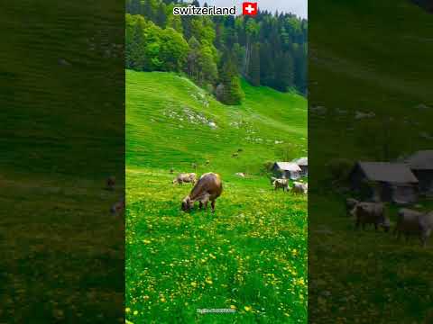 Swiss Alps in 4K 🏔️ #travel #swissalps #sceniclandscapes #nature #beautifulplace #switzerland