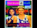 Cerrone - Harmony {Normani & Niall Love Making}