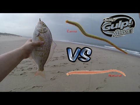 Berkley Gulp SandWorm Camo Vs Natural---Crazy Ending! (Oregon Coast Surf Fishing)