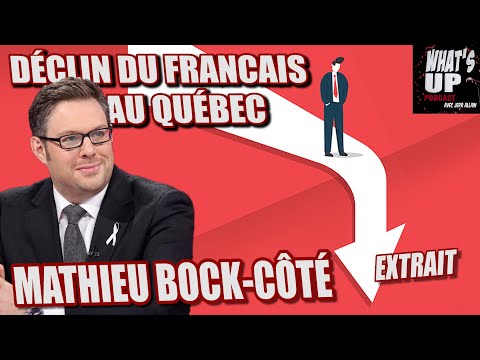 DÉCLIN du FRANCAIS / Mathieu Bock-Côté / What's Up Podcast (Extrait)