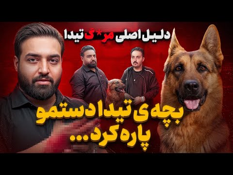 دلیل مرگ تیدا باهوش ترین سگ ایران❌ 