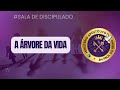 Sala De Discipulado A Árvore Da Vida Dia 13 09 2025