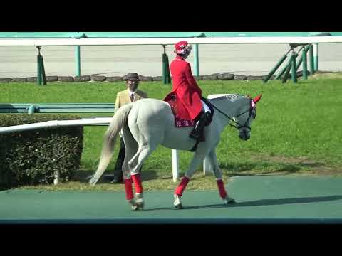 [Oka Sho] Stars on Earth enters the main racecourse to win by a nose and claim her first Classic ...