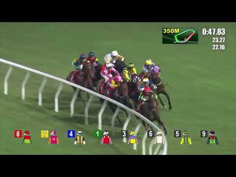 5/10/2022 (71) Adios - Matthew Poon