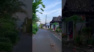 Download lagu suasana ramadhan di pagi hari mp3