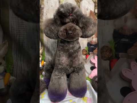 When your just perfect and flawless because your Kimmy K. #jamesbennettsignaturerange #jamesbennett