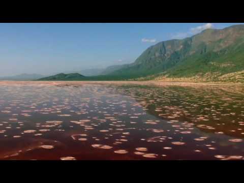 Wonderful Chill Out Music - Africa 2 [HD].mp4