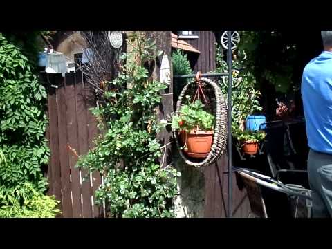 Majercik Adko-oslava