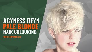 AGYNESS DEYN PALE BLONDE HAIR COLOURING