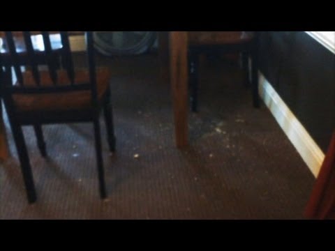 Picture of kids' mess causes uproar
