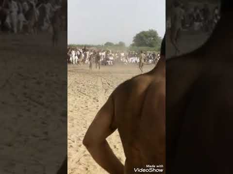 Warbo agy Waseem shahbazi muzamil nadla peache