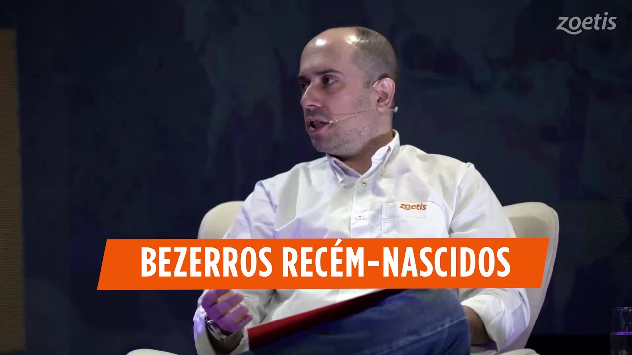 Dectomax - Cuidados com o bezerro recém-nascido