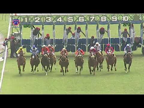 RM5 R4 | Captain Flynt | D.Sooful