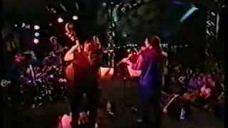 Bill Frisell  & The Willies~ My Buffalo Girl