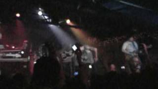 Envy On The Coast- Vultures