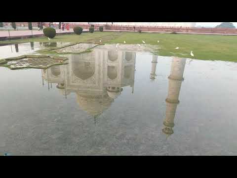 Tajmahal image in the water#tajmahalgarden#tajmahalshadow#tejomahalaya