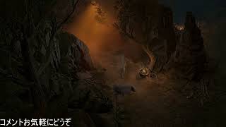 D4 season2 使い魔ドルイドでやってみる【Twitch】