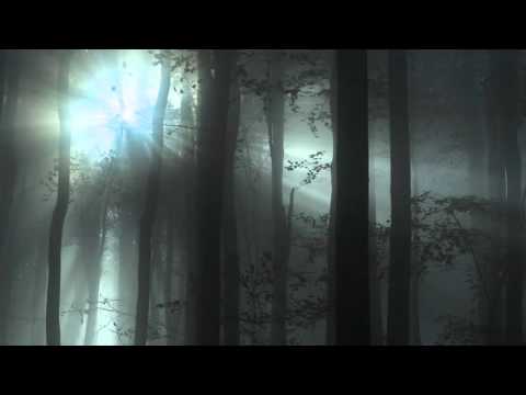 Donkey Kong 2 - Forest Interlude (ReMake)