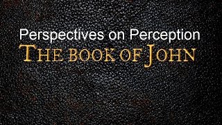 Perspectives on Perseption | John 9