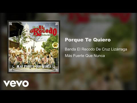 Banda El Recodo De Cruz Lizárraga - Porque Te Quiero (Audio)