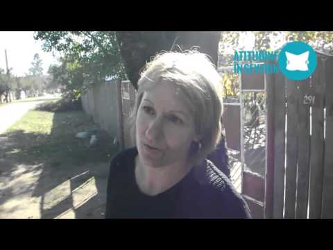 Ce propuneri le făcea primarul din Dârvari victimelor sale