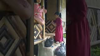 Download lagu Tutorial on catching anteaters mp3 Download lagu Tutorial on catching anteaters mp3