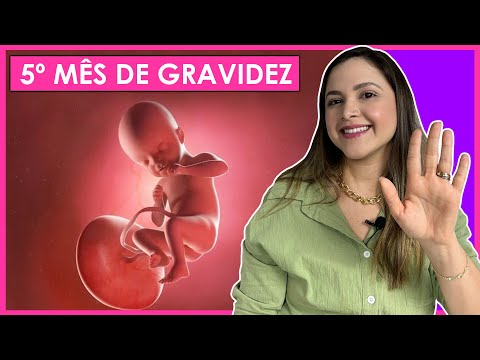 5 MESES DE GRAVIDEZ