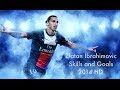 Zlatan Ibrahimovic | Skills and Goals | 2014 HD