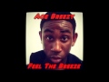 Ace Breezy - Feel The Breeze 
