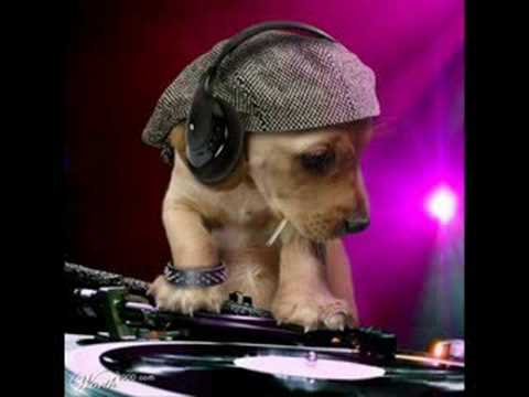 Ultrabeat vs Scott Brown - Elysium [I go crazy] (Scott Brown