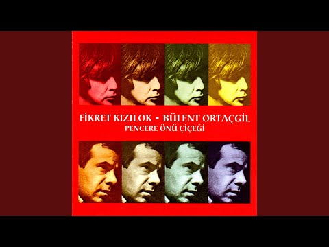 Şarkıdaki Maymun - Fikret Kızılok