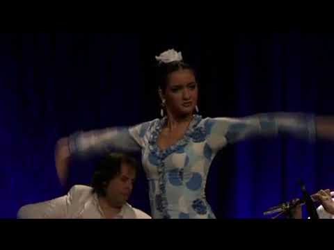 Antonio Andrade Compania Flamenca Tour 2008