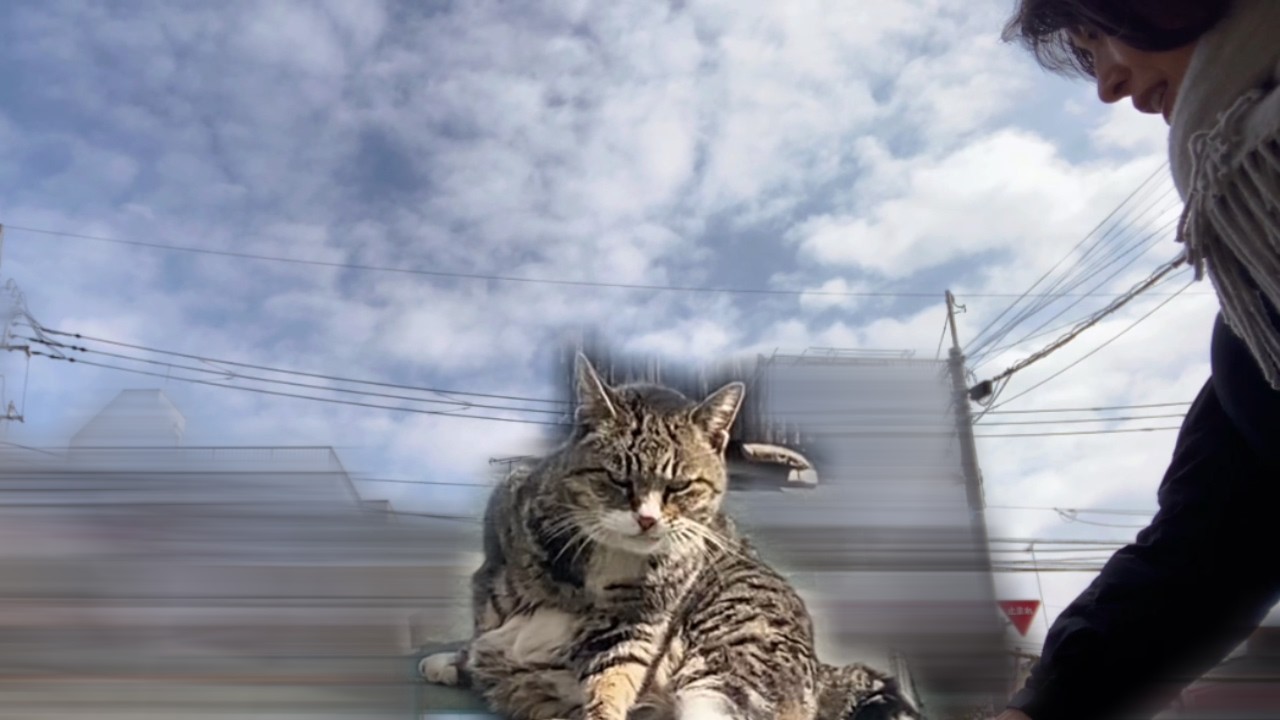 仕事帰り、動けなくなった理由