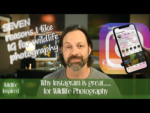 Why Instagram is Great for Wildlife Photography (part 1/3)