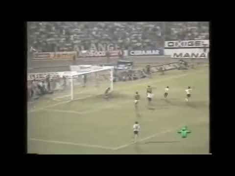 Guaraní 0x1 Corinthians, campeão paulista de 1988.