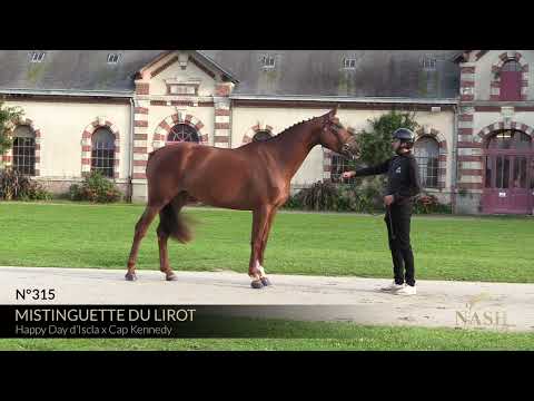 MISTINGUETTE DU LIROT